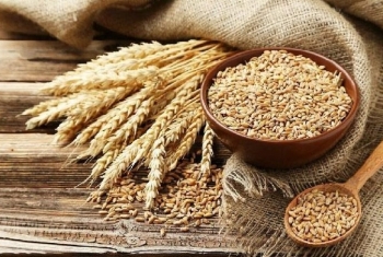 Ukraine: Bộ Nông nghiệp giảm dự báo sản lượng lúa mỳ 20/21 xuống còn 24.88 triệu tấn