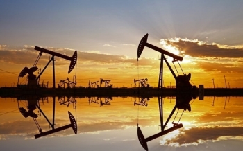 Giá dầu thô cần thêm thông tin để giữ vững đà tăng