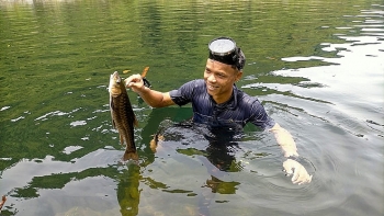 Bảo tồn cá “hảo hán” ở Trường Sơn