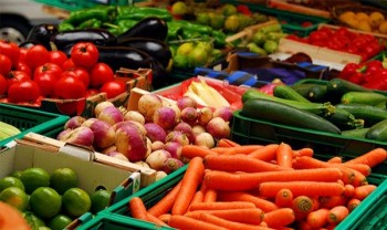 Cách phân biệt 13 loại rau củ quả Trung Quốc và Việt Nam