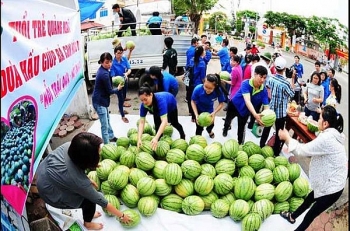 Bao giờ mới thôi phải giải cứu nông sản?