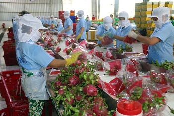 Những lợi ích EVFTA đem lại cho nông nghiệp Việt Nam