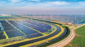 Trung Quốc dẫn đầu về năng lượng tái tạo