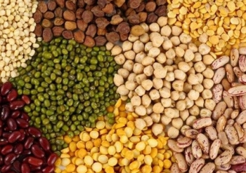 Giá ngô và khô đậu tương cùng giảm do lo ngại về nhu cầu tiêu thụ