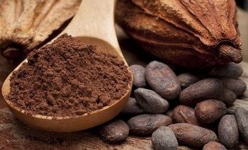 Giá cà phê, cacao tăng; đường và bông giảm trong phiên đầu tuần