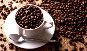 Giá cà phê hôm nay 4/5: Ít biến động, tăng nhẹ 100-200 đồng/kg