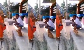 [VIDEO] Chú chó vái lạy khi nhà sư đọc kinh cầu nguyện