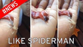 [VIDEO] Phát hiện loài sâu lạ có khả năng phun tơ như "người nhện"