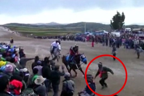 [VIDEO] CĐV bị ngựa đua chạy nước rút giẫm chết thảm