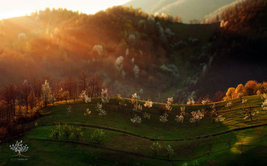 Mê đắm với vẻ đẹp của bình minh và hoàng hôn vùng Transylvania