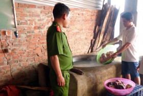Quảng Nam: Xử phạt 11 trường hợp bơm nước vào trâu, bò