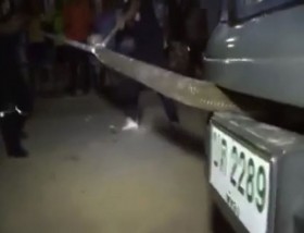 [VIDEO] Cực khổ "đối đầu" rắn khủng chui vào ô tô