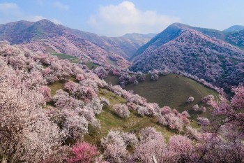 [Chùm ảnh] Thung lũng đẹp như mơ ở Tân Cương, Trung Quốc