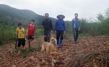 Lão nông tố bị cướp gần chục ha đất rừng ở Lạng Sơn