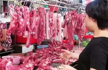 Khủng hoảng thừa thịt lợn: Không thể thường xuyên giải cứu
