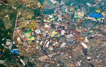 Dự án “Dọn sạch đại dương” và “ngàn lẻ một” cách cứu biển