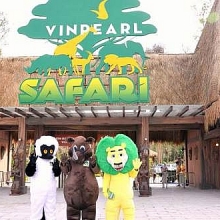 Hành trình khôn lớn của các loài thú quý, từ lúc chào đời ở Vinpearl Safari