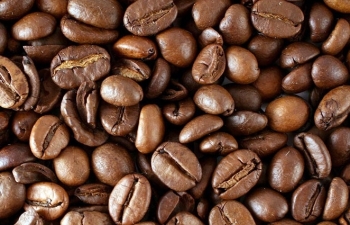 Giá cà phê Arabica đang giằng co ở mức 148 cent/pound trong phiên hôm nay