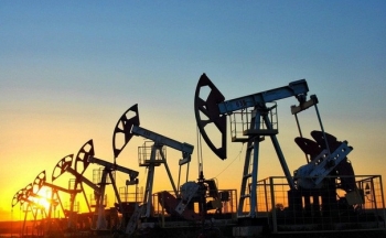 Đà tăng của giá dầu sẽ nhận được sự hỗ trợ từ các báo cáo quan trọng
