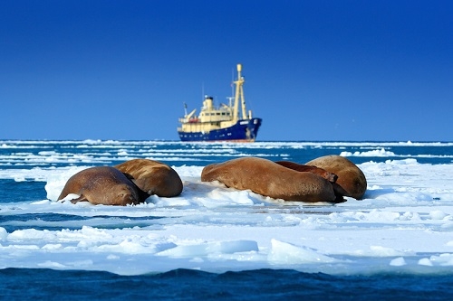 Khai thác tiềm năng dầu khí và bảo vệ môi trường Bắc Cực