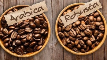 Giá cà phê Arabica và Robusta đi ngược chiều trong phiên ngày 24/5