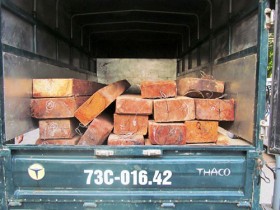 Quảng Bình: Phát hiện xe tải chở gỗ lậu