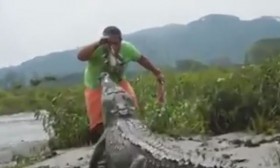 [VIDEO] Người đàn ông dùng tay câu cá sấu khiến nhiều người khiếp vía