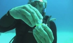 [VIDEO] Đập trứng dưới đáy biển sâu và điều bất ngờ
