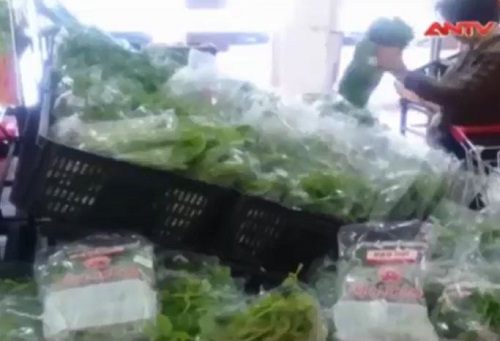[VIDEO] Đường dây trà trộn rau không an toàn vào siêu thị
