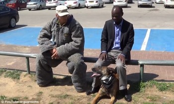 [VIDEO] Xem chó đặc nhiệm phản xạ khi chủ bị tấn công