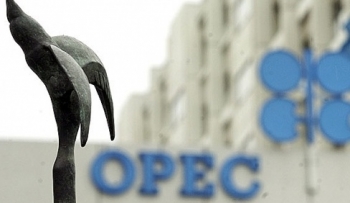 Liệu OPEC có đủ kiên nhẫn?