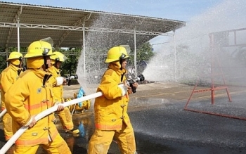 Trưởng thành trong lao động sáng tạo