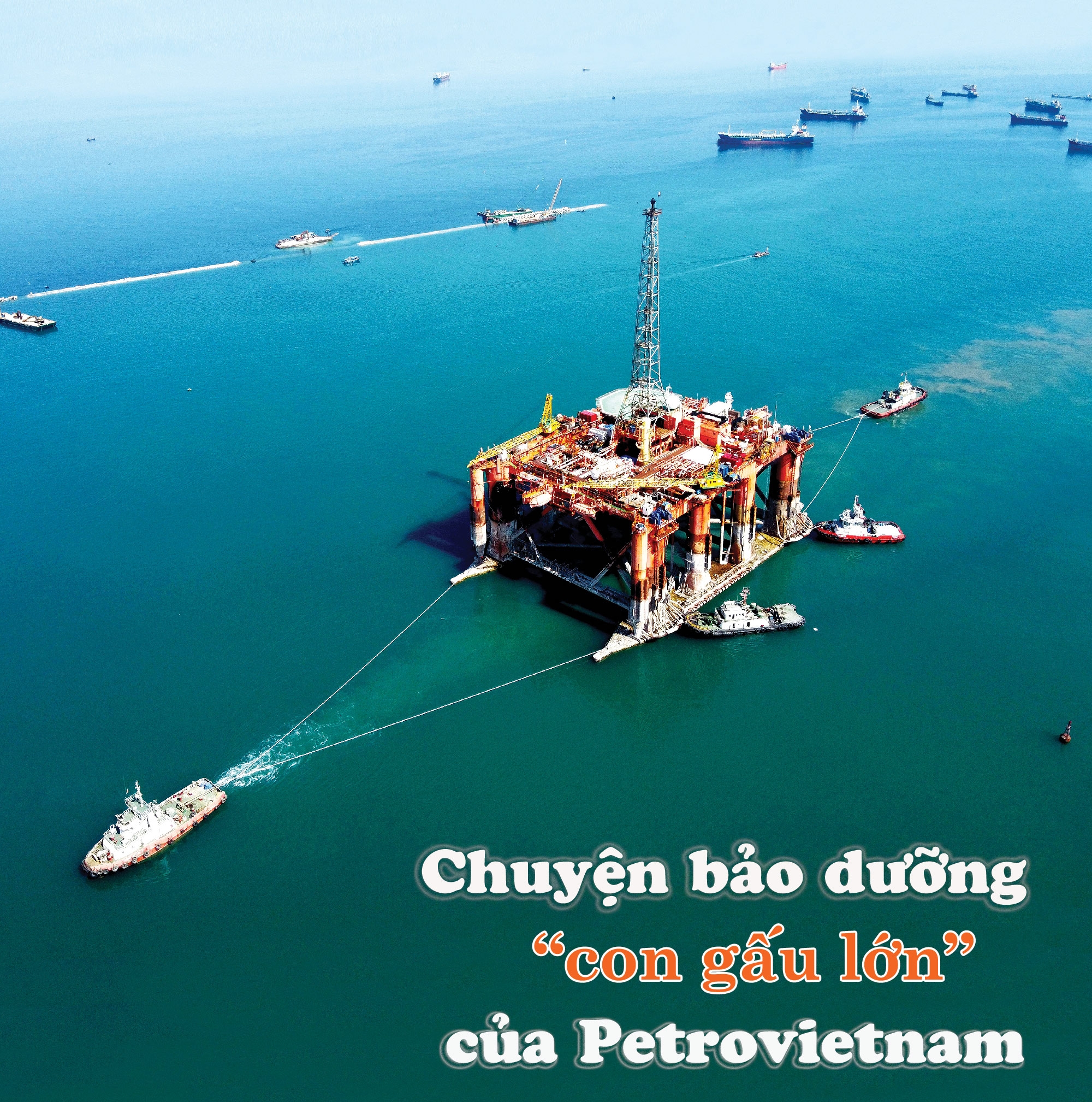 chuyen bao duong con gau lon cua petrovietnam