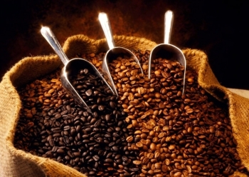 Giá hai loại cà phê diễn biến trái chiều trong phiên đầu tuần