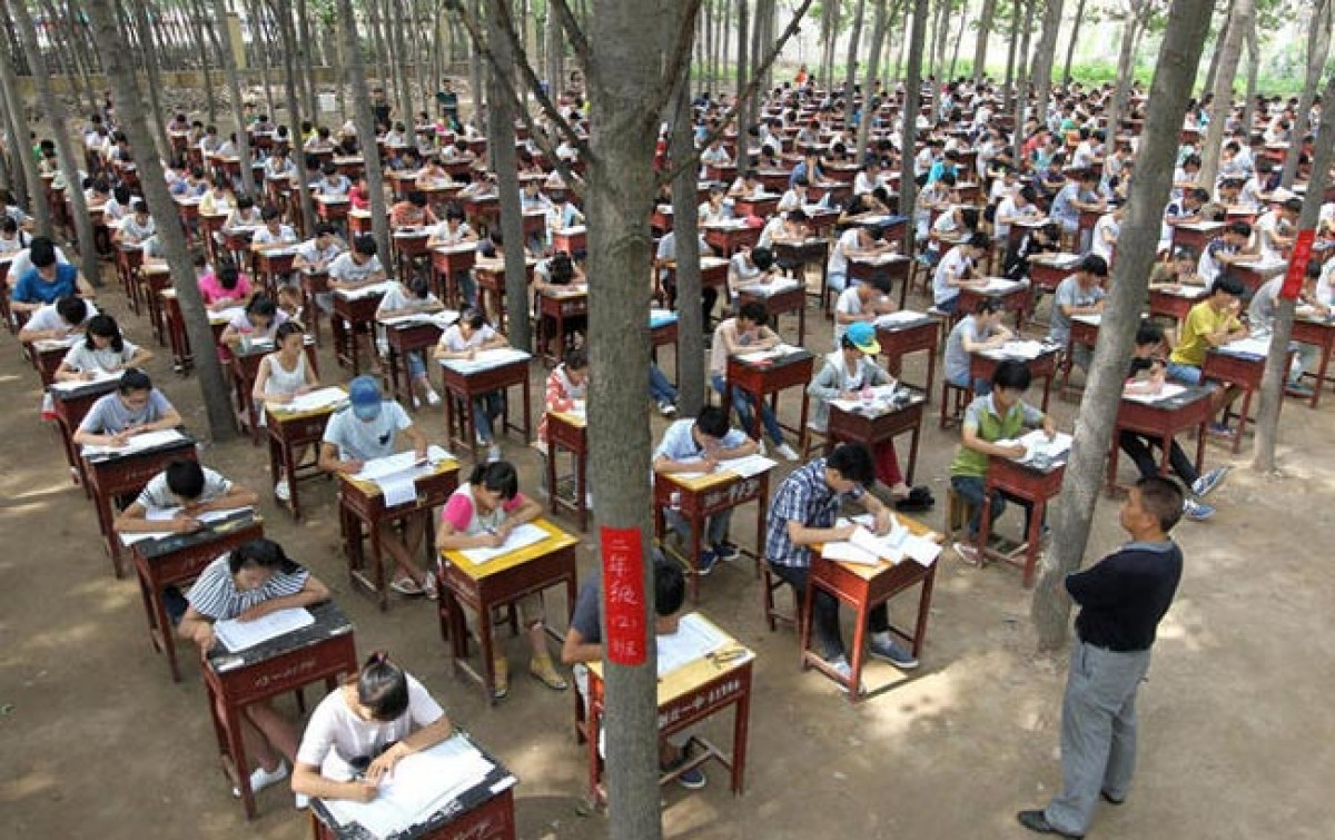 Trung Quốc cho học sinh thi trong rừng để... hạn chế gian lận