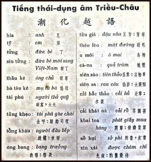 Về bảng “Tiếng thái - dụng âm Triều Châu” của Lý Văn Hùng (1960)