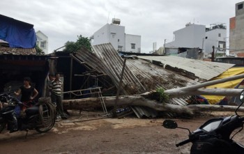 Cây bật gốc đổ vào nhà dân, một người bị thương