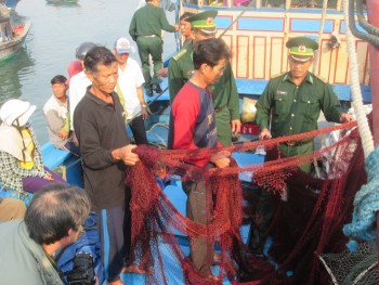 Hai tàu TQ đâm chìm, ngăn cản cứu hộ tàu cá Quảng Ngãi