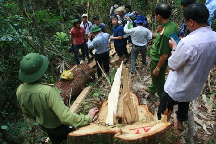 he lo nhung tinh tiet co to chuc