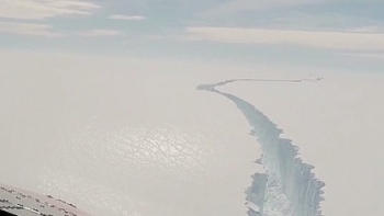 Núi băng khổng lồ tách khỏi Nam Cực và những hệ lụy
