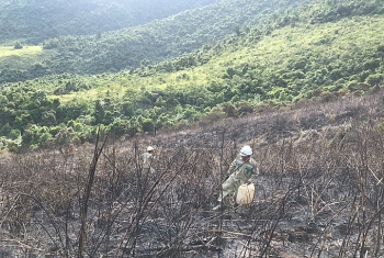 Ngăn ngừa sự cố do cháy rừng