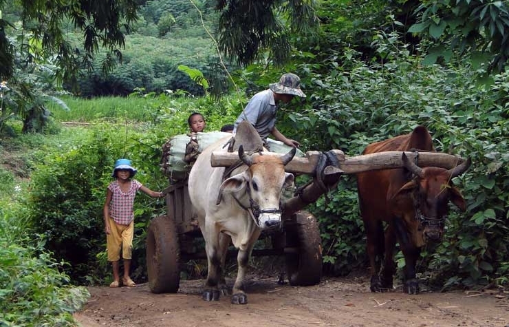 Hồn thiêng làng cổ Ba Na