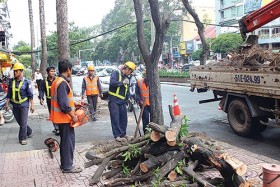 Bảo tồn và phát triển