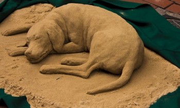 [VIDEO] Chú chó bằng cát giống thật đến không tưởng
