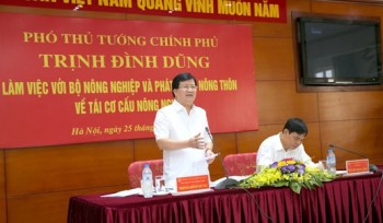 Phó Thủ tướng Trịnh Đình Dũng làm việc về tái cơ cấu nông nghiệp