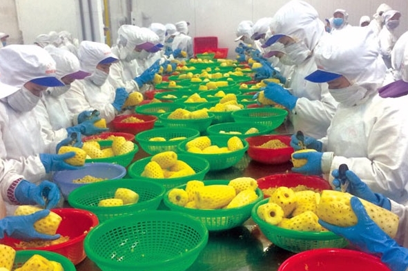 Xuất siêu 6,42 tỉ USD - Kỷ lục về cán cân thương mại của Việt Nam