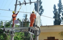 dao reu quang ninh co dien luoi quoc gia