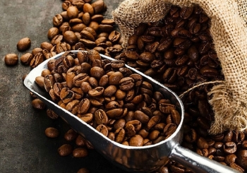 Giá cà phê có thể tích lũy đi ngang với biên độ rộng