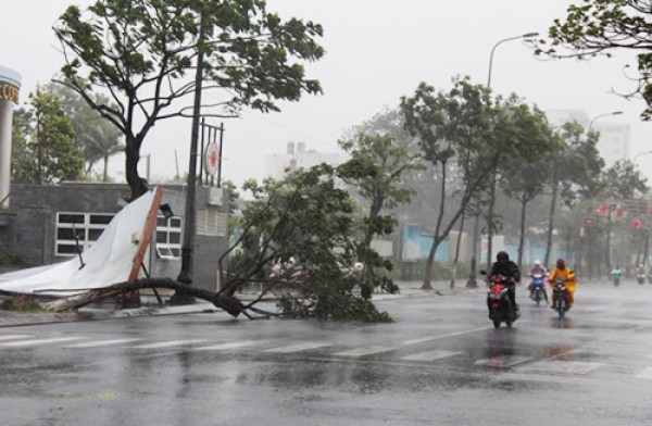 Ngành Điện miền Trung tập trung khắc phục sự cố do mưa bão gây ra