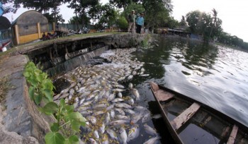 Gian nan xây dựng thành phố môi trường